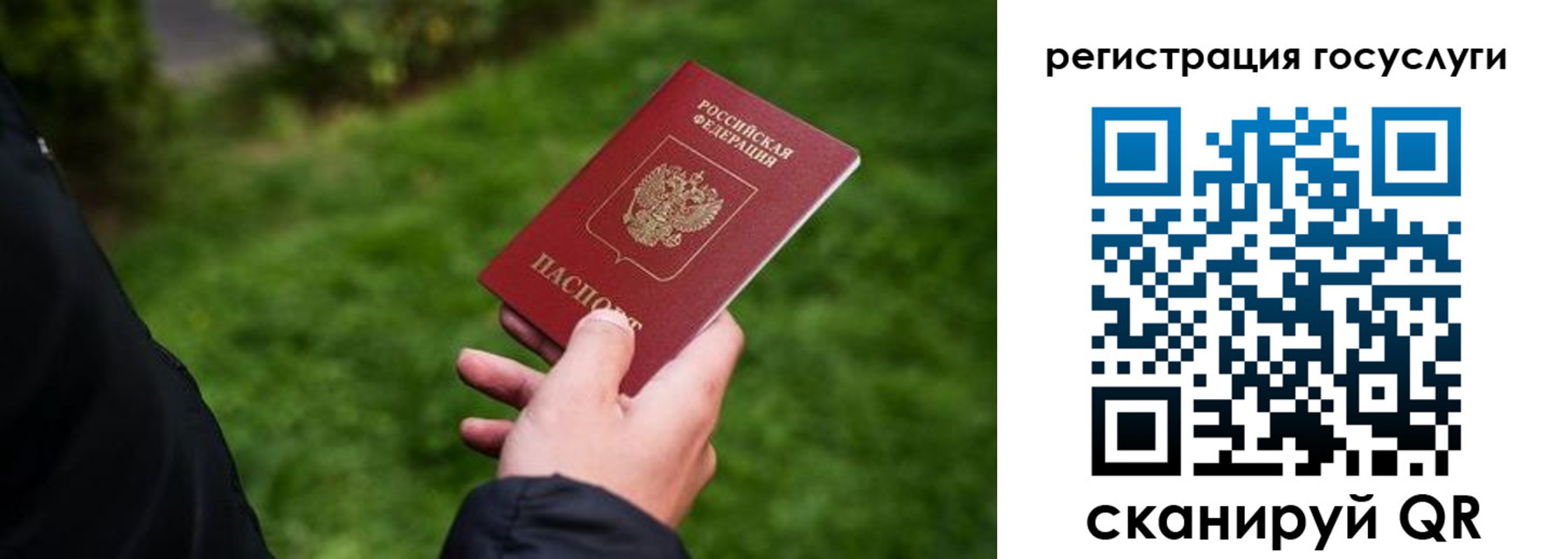 прописка в Белореченске